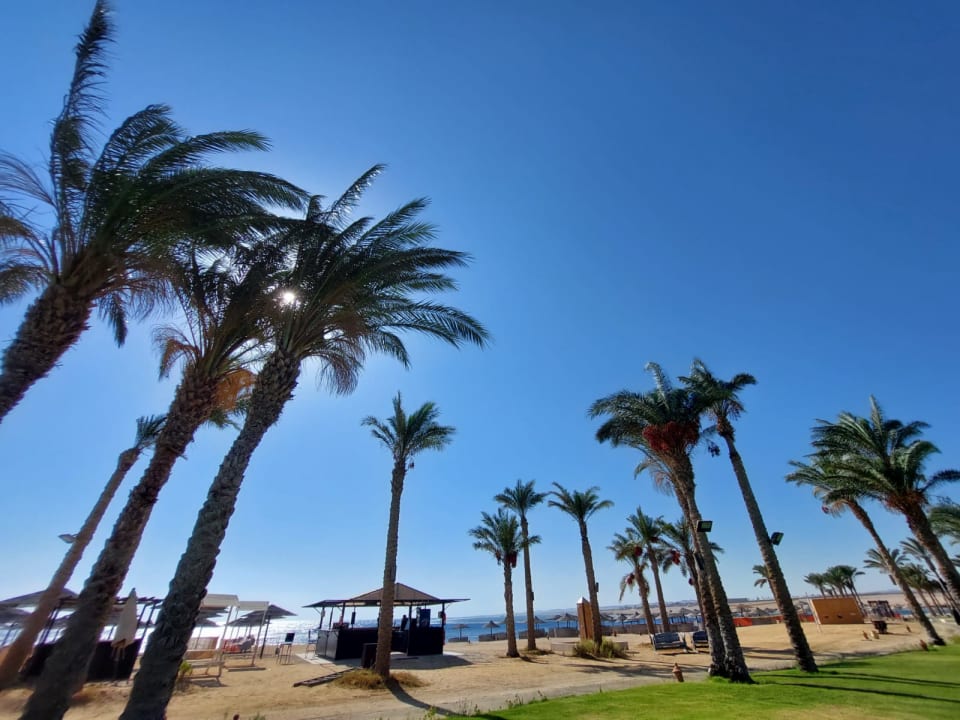 Strand Pickalbatros Palace Hotel-Port Ghalib