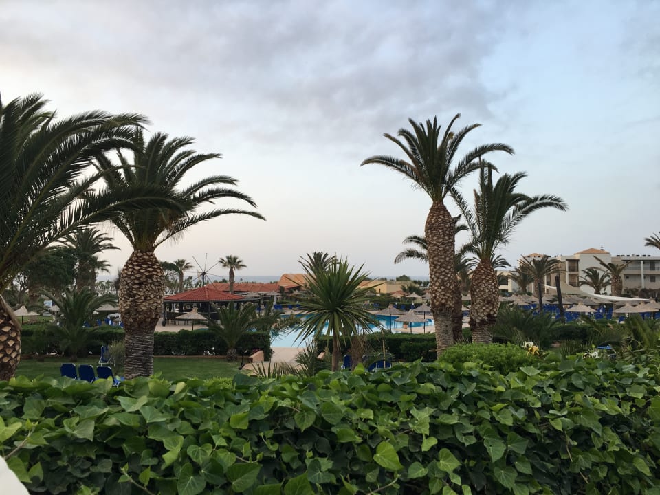 Gartenanlage Anissa Beach & Village