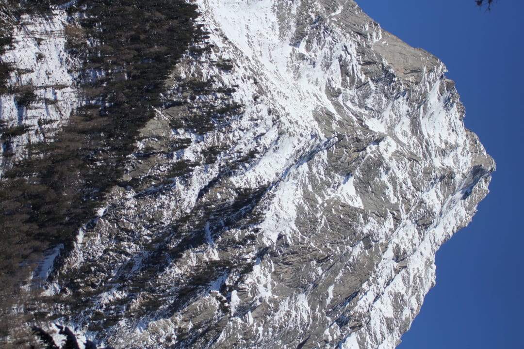 Zum Greifen nah Hotel Seehaus