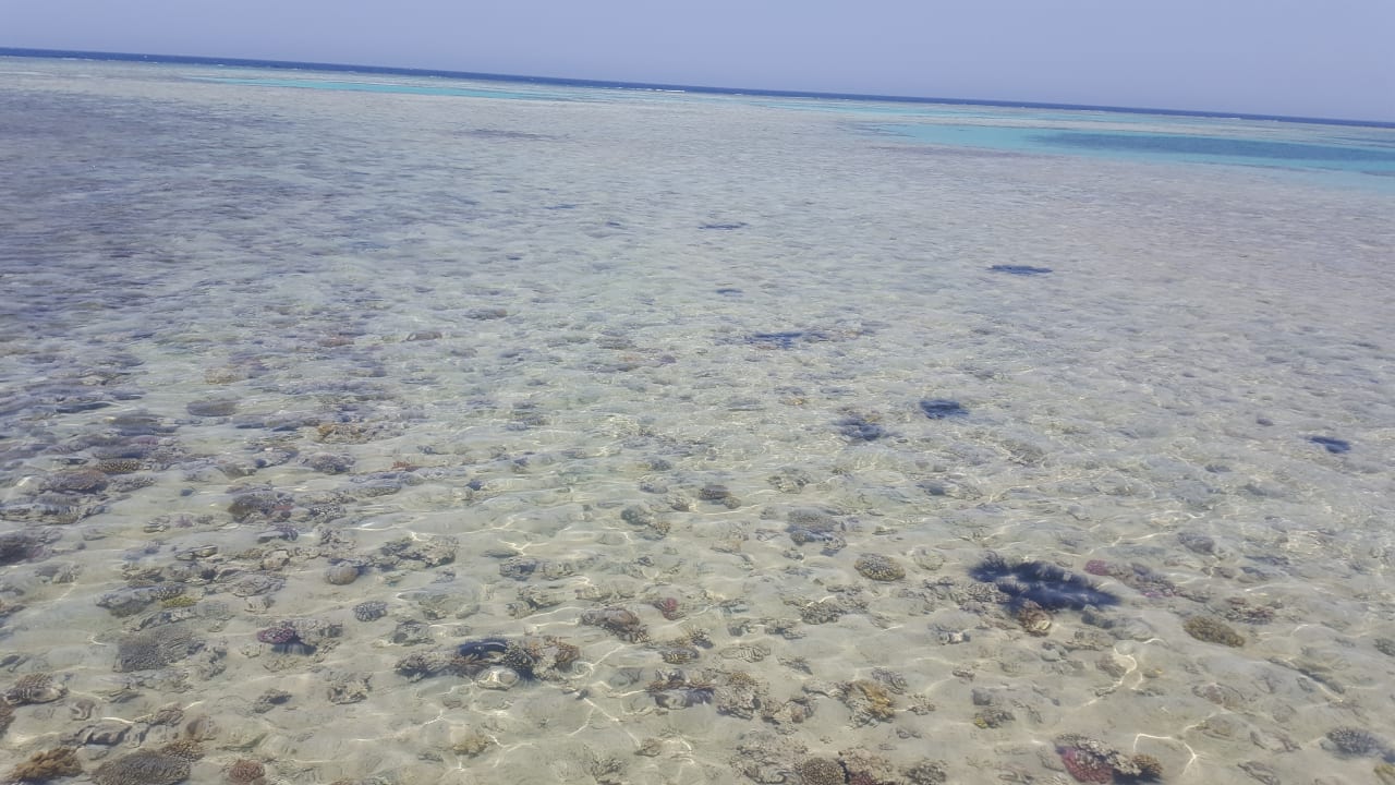 Strand Stella Beach Resort & Spa Makadi Bay