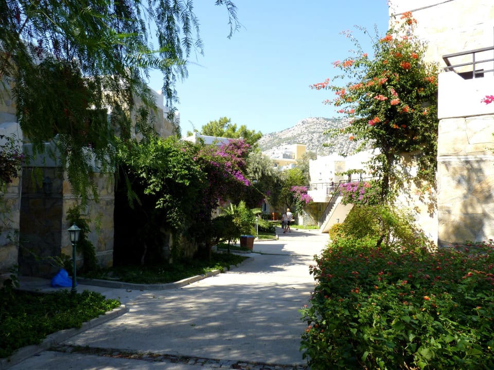 Hotelowe ścieżki. Bodrum Park Resort