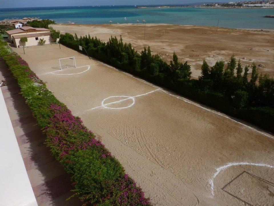 Volleyball/Fussball/Basketball Sea Star Beau Rivage