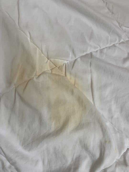 Zimmer Well Palace Side