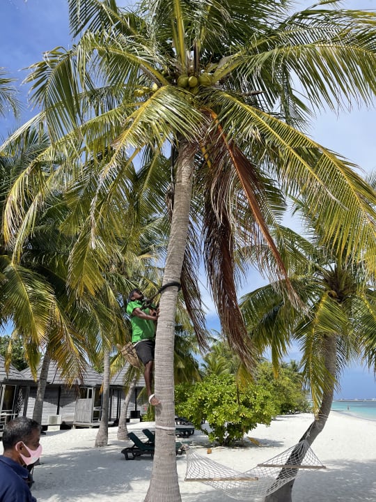 Strand Kuredu Island Resort & Spa