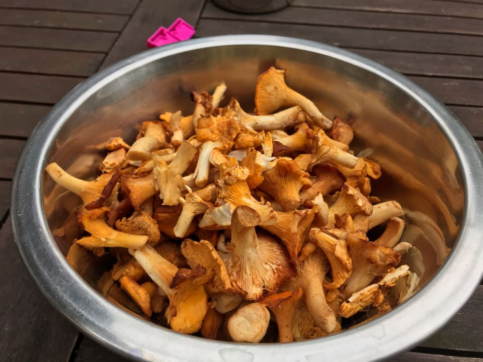 Gastro S'Fleckli Bioland Ferienbauernhof