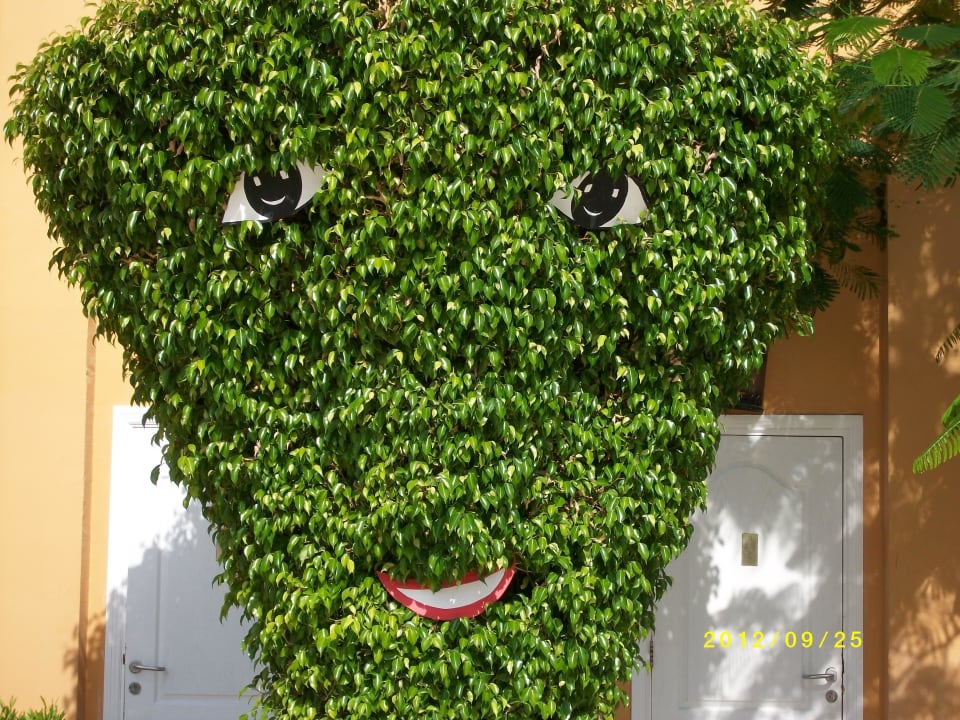 Der lachende Baum Stella Beach Resort & Spa Makadi Bay