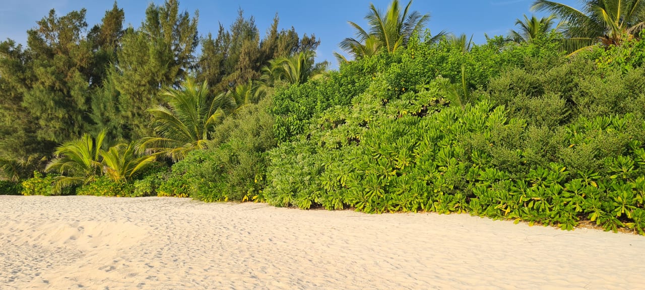 Strand Summer Island Maldives