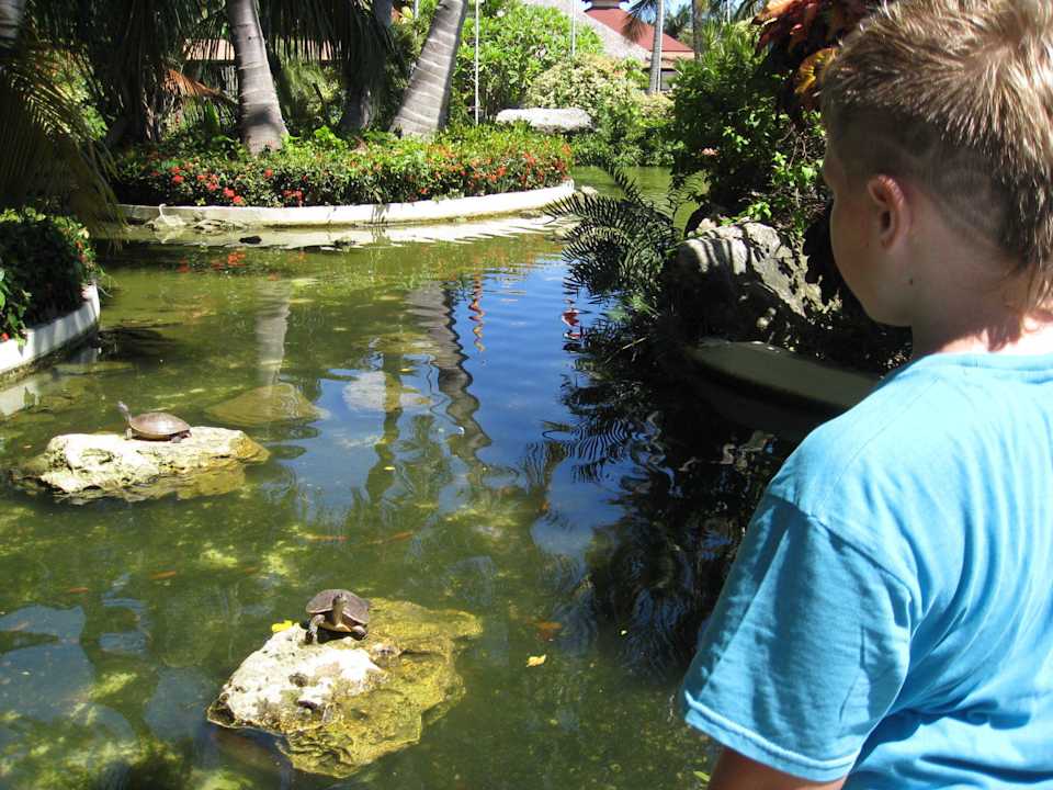 . Grand Palladium Select Bávaro Resort & Spa