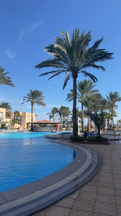 Pool Sea Star Beau Rivage