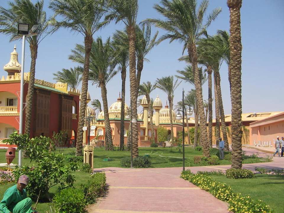 Palmen Pickalbatros Alf Leila Wa Leila Resort - Neverland Hurghada