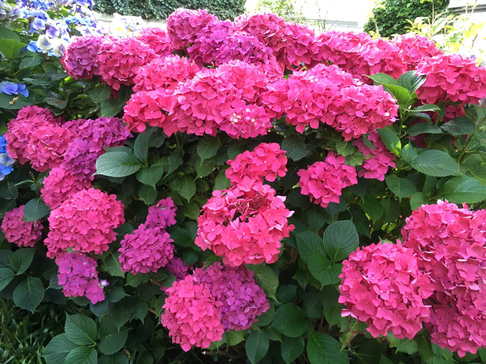 Sonstiges Ferienanlage Duhnen