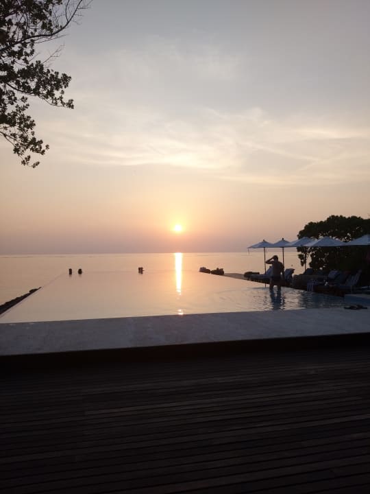 Pool Summer Island Maldives