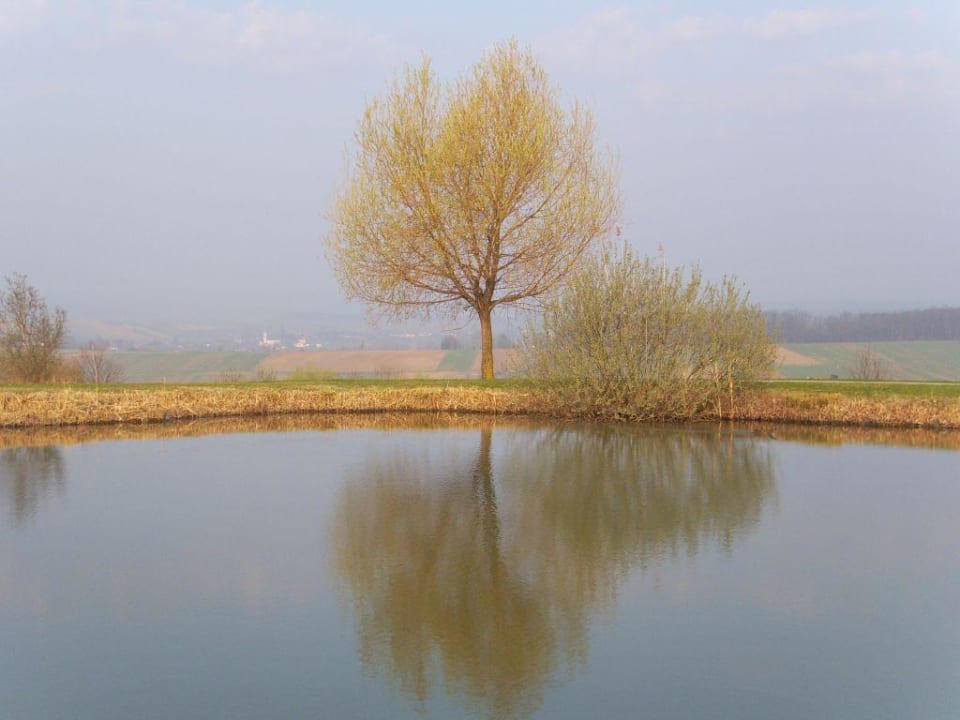 Morgenstimmung Reiters Finest Family Hotel