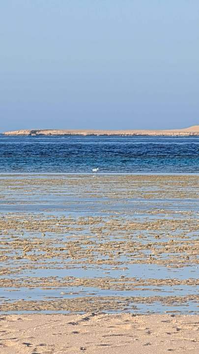 Strand JAZ Elite Asteria