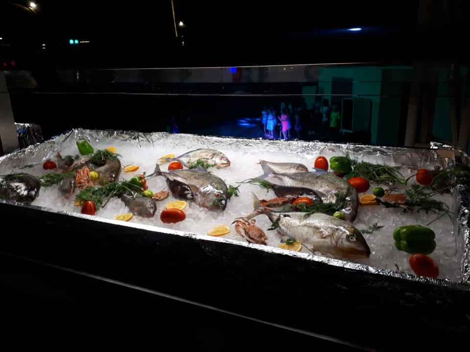 Gastro Pickalbatros Sea World Resort - Marsa Alam