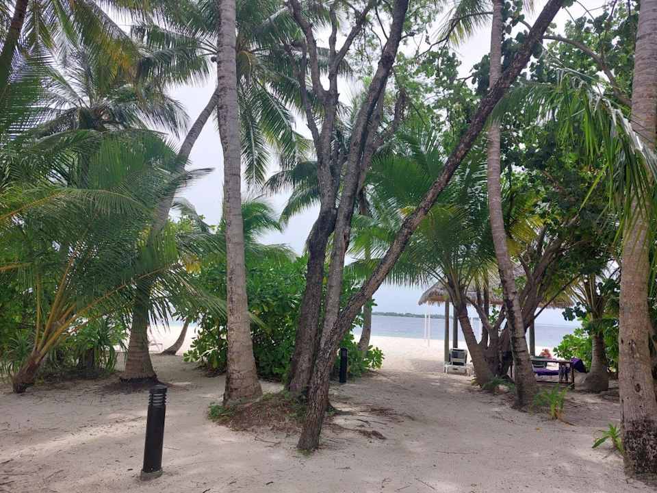 Außenansicht Vilamendhoo Island Resort & Spa