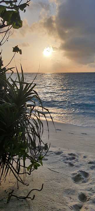 Strand Ifuru Island Maldives