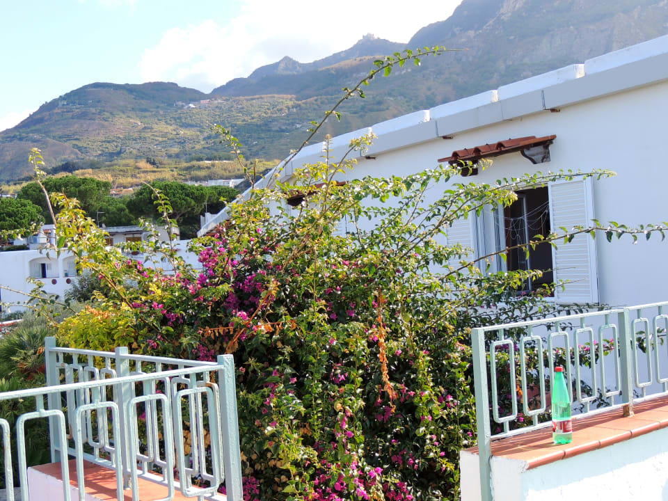 Außenansicht Hotel Terme Royal Palm