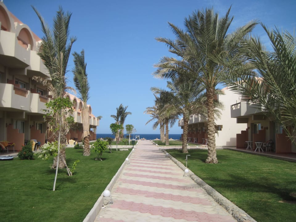 Ogród Three Corners Sea Beach Resort