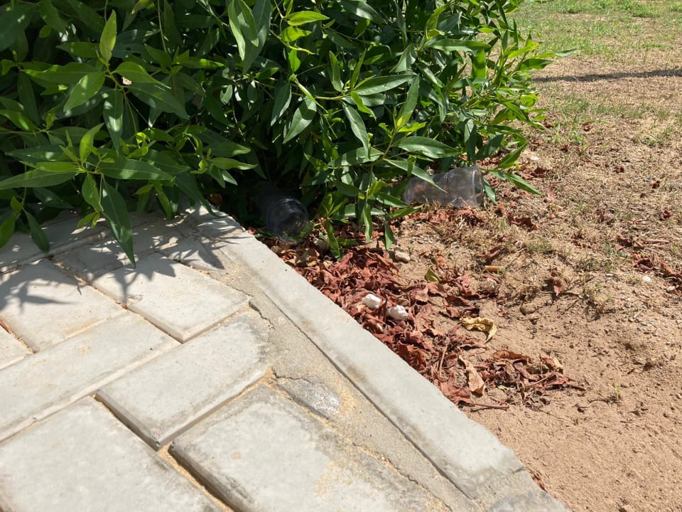 Pool Marina Resort Port Ghalib, a member of Radisson Individuals