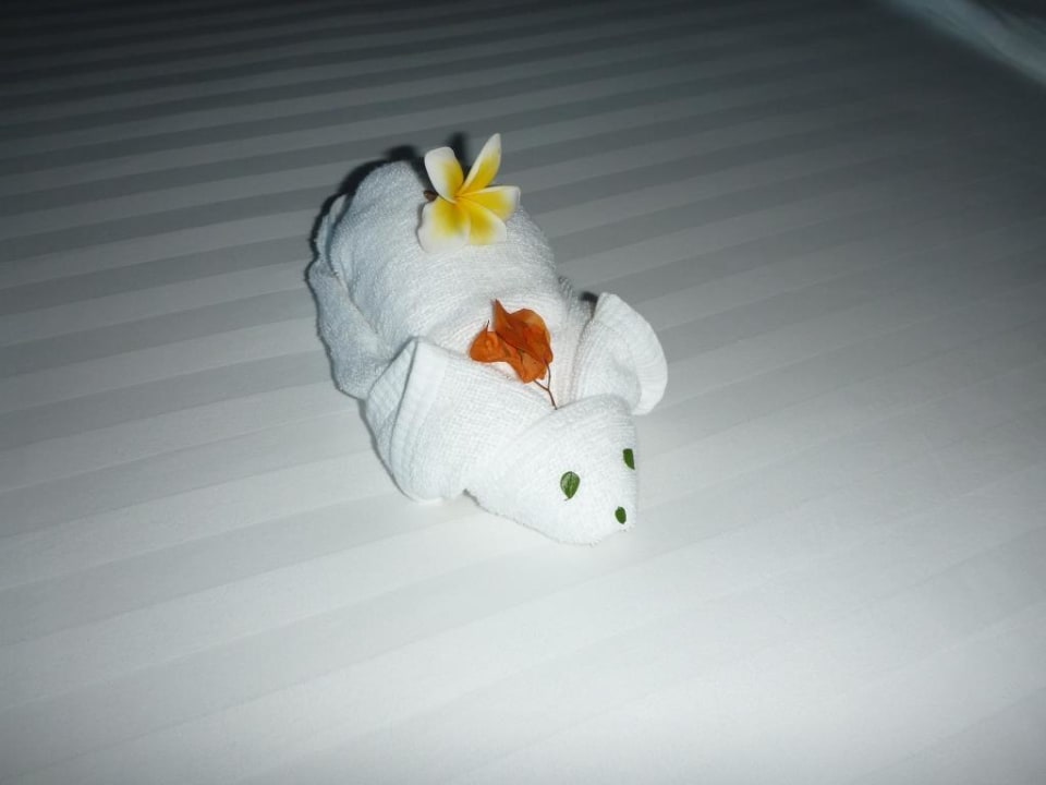 Zimmer Panviman Resort Koh Phangan