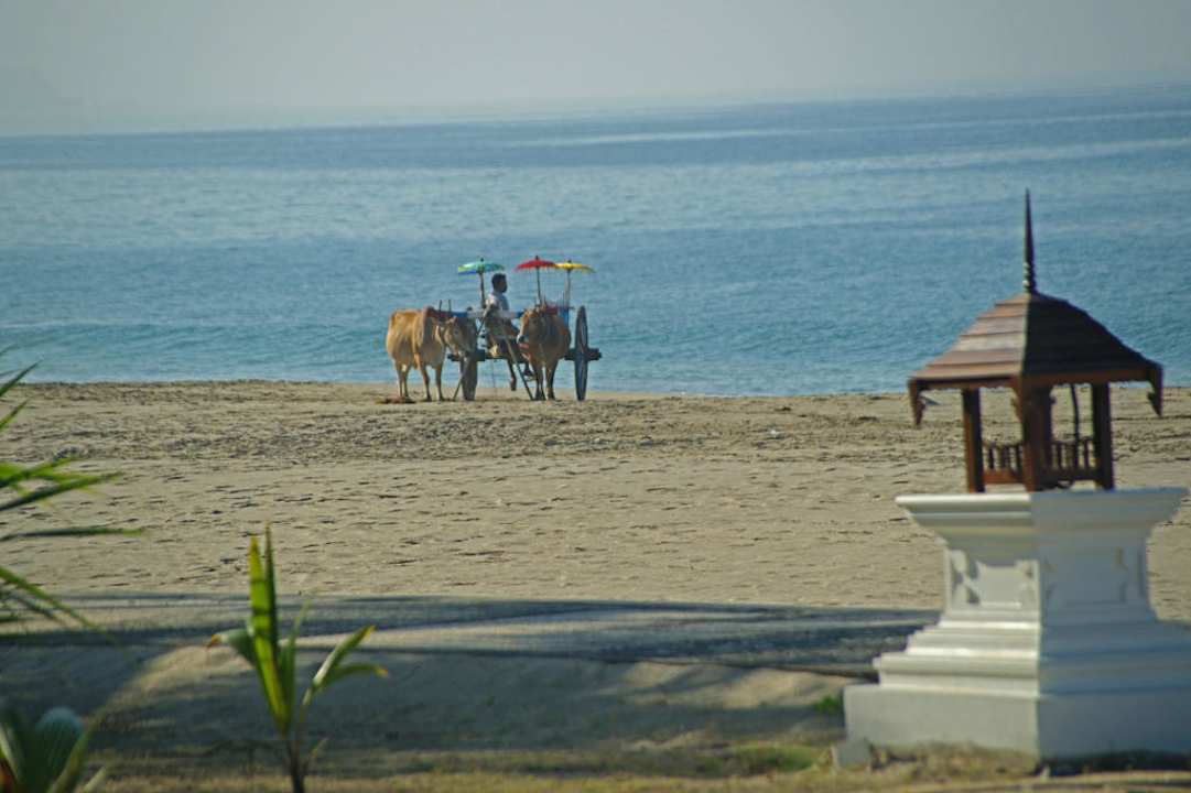 Taxi am Strand Hotel Aureum Palace Resort