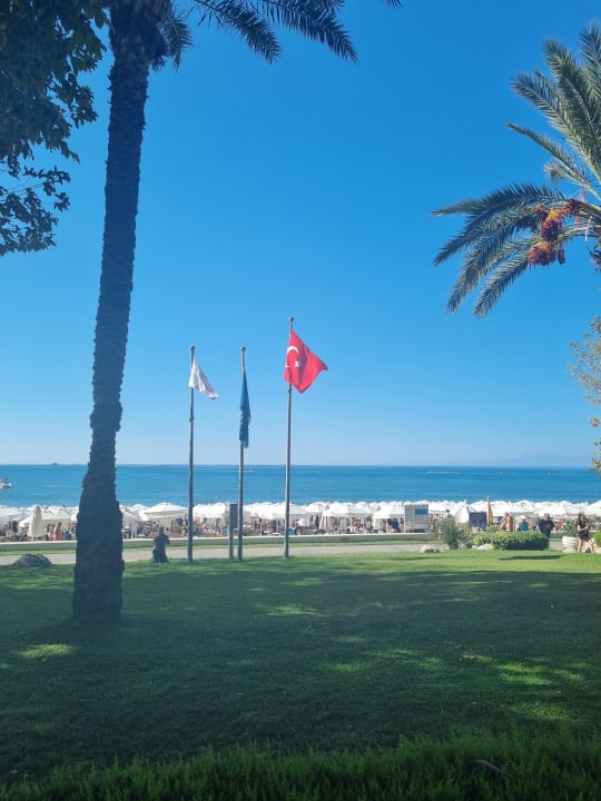 Gartenanlage Side Star Elegance