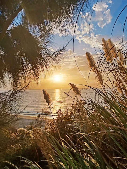 Ausblick Marina Playa Suite Hotel