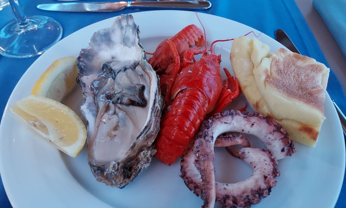 Gastro Acanthus Cennet Barut Collection