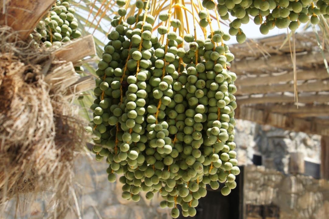 SIX Senses Six Senses Spa At Zighy Bay