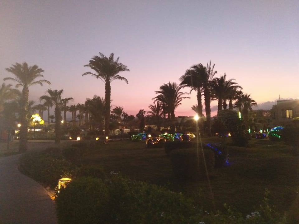 Ausblick Lotus Bay Beach Resort