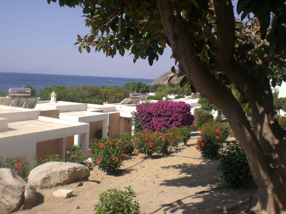 Blick vom Restaurant auf die Anlage Dimitra Beach Hotel & Suites