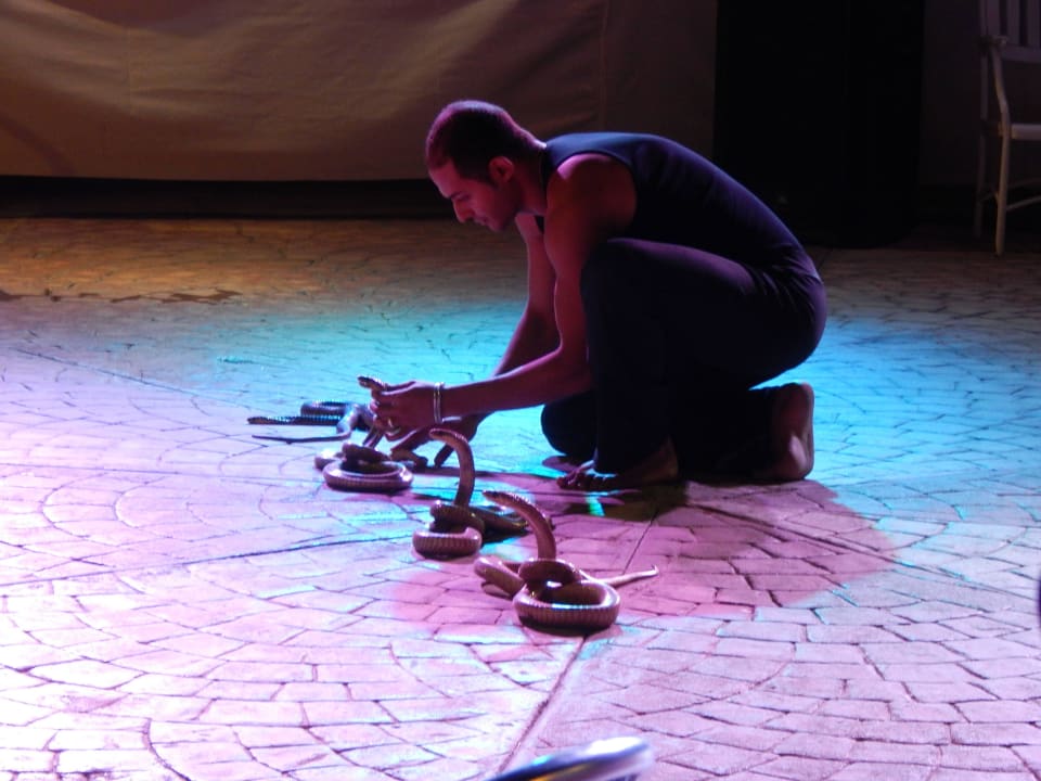 Show beim Gazebo Bar Sentido Caribbean World Soma Bay