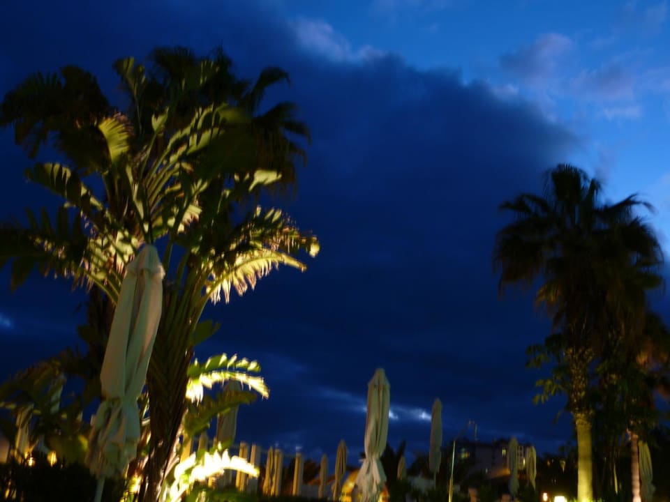 Am Pool Hotel Riu Madeira