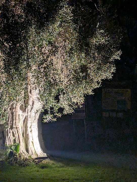 Außenansicht Rixos Premium Tekirova