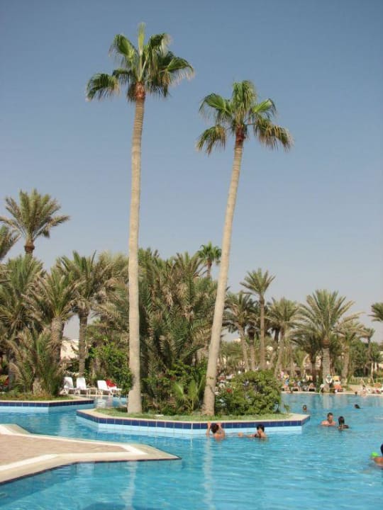 Pool area Zita Beach Resort