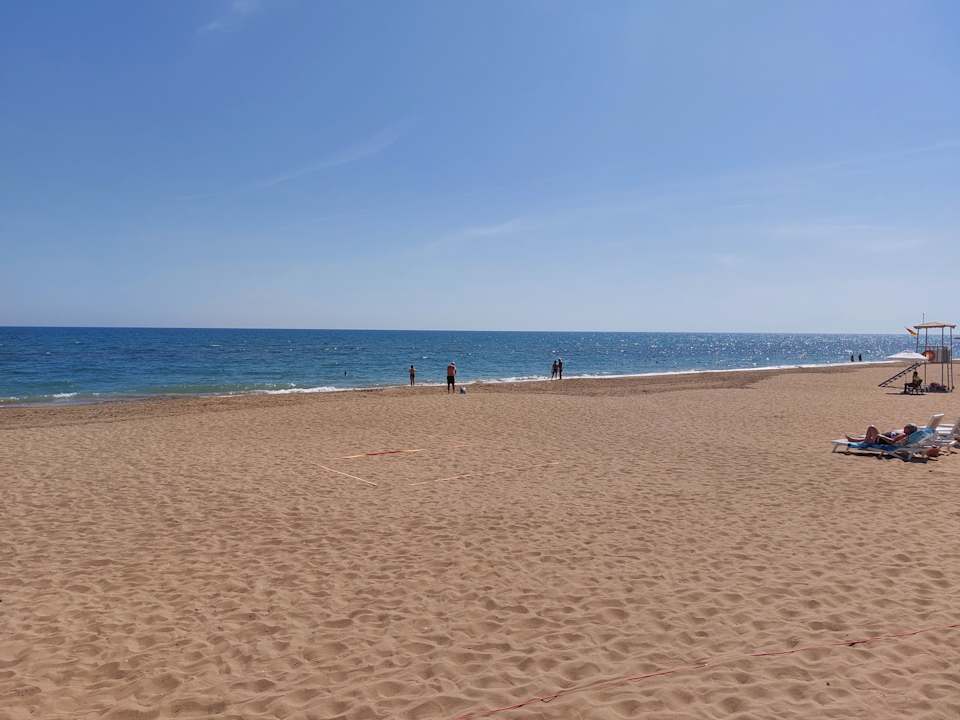 Strand Seashell Vega