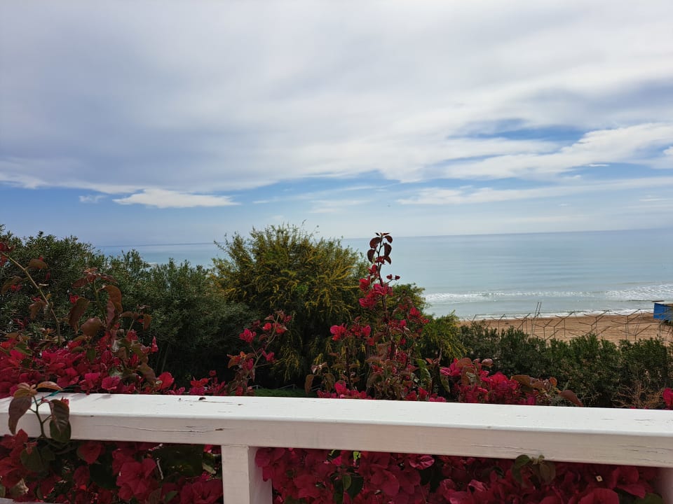 Ausblick Can Garden Resort