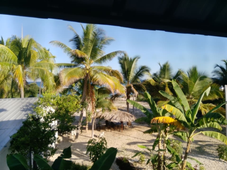 Ausblick Hotel Al Mare In B&B