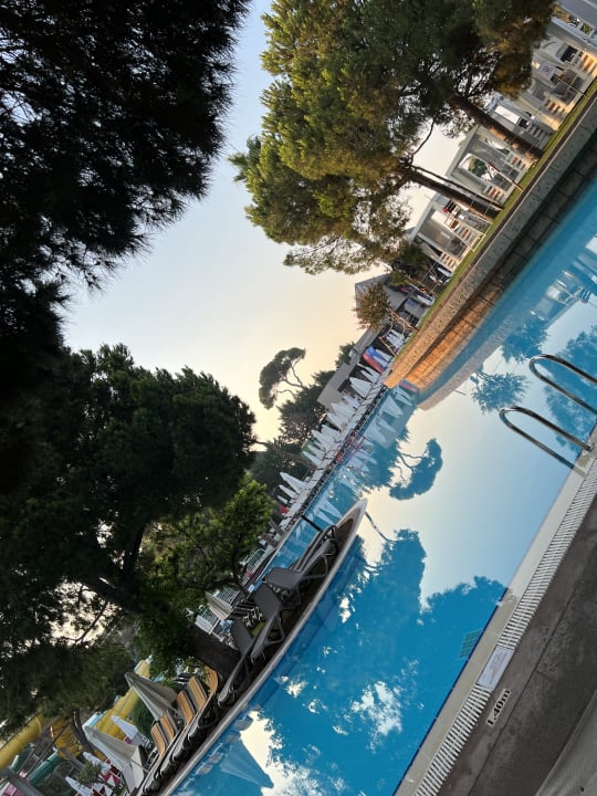 Pool Papillon Ayscha