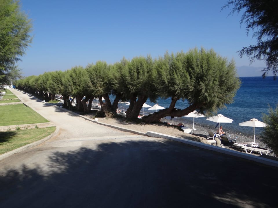 Blick von der Poolseite zum Meer Dimitra Beach Hotel & Suites