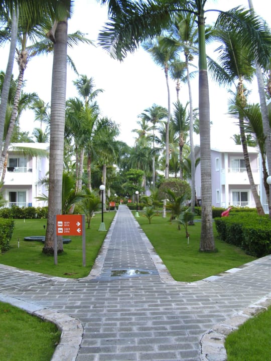 Weg zu den Häusern Hotel Riu Bambu