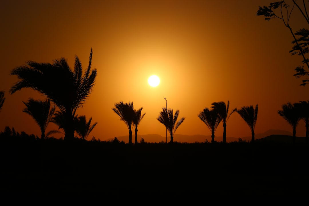 Außenansicht Jaz Solaya