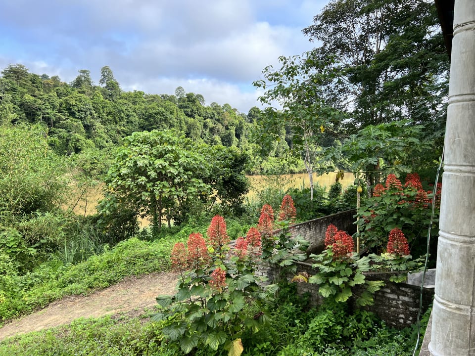 Ausblick Balai Serama Guesthouse