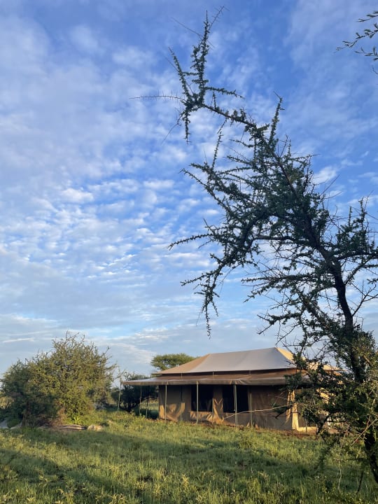 Außenansicht Serengeti Wild Camp