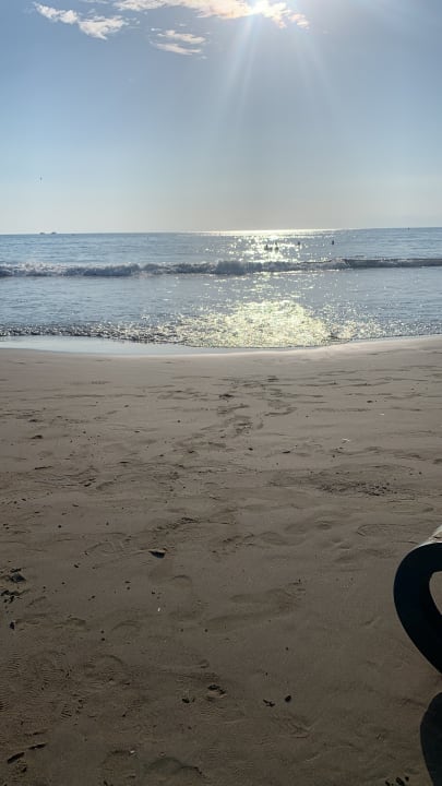 Strand Clover Magic Nova Beach