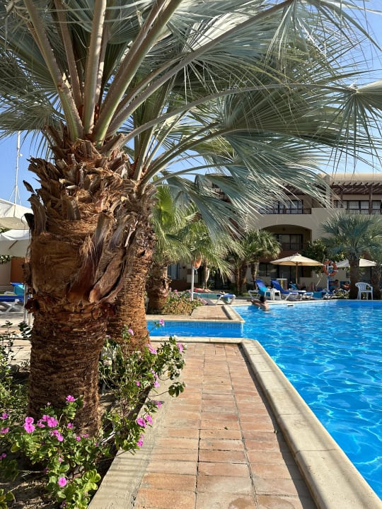 Pool Marina Resort Port Ghalib, a member of Radisson Individuals