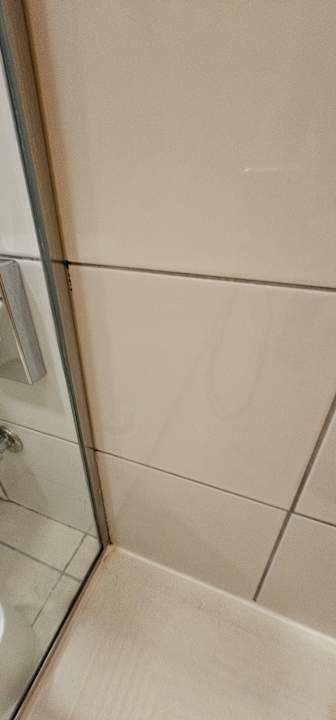 Zimmer Bull Dorado Beach & Spa