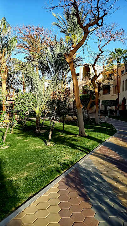 Gartenanlage Jaz Makadi Oasis Resort