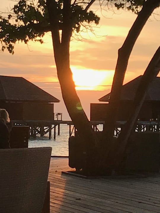 Gastro Veligandu Maldives Resort Island